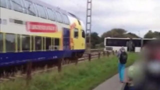 Căprioară lovită de tren în Germania