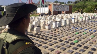 Captură-record de cocaină în Columbia