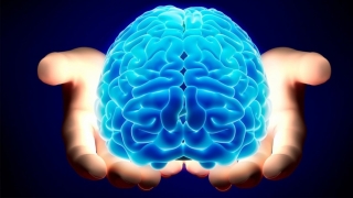 Ce are special creierul persoanelor nevăzătoare?