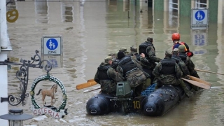 Cel puțin cinci morți în inundațiile din Franța și Germania