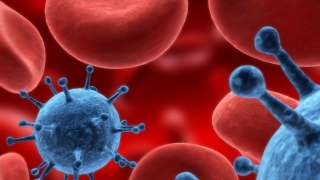 Celulele canceroase „înfometate“, cheie împotriva tumorilor
