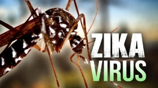Ce spun specialiștii despre diagnosticul de infecție cu Zika?