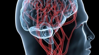 Comoția cerebrală triplează riscul de sinucidere în cazul adulților