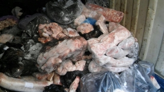 Constanţa: peste 8 tone de carne, incinerate de inspectorii DSVSA