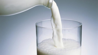Criza laptelui, un cerc vicios?