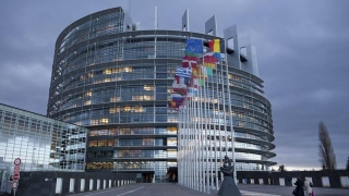 Cum poți să te formezi la Parlamentul European?