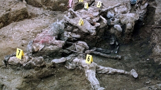 Dezamăgire în Bosnia: Olanda, parțial vinovată pentru masacrul de la Srebrenica