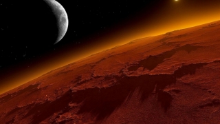 Două specii de organisme pot supraviețui condițiilor de pe Marte