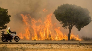 Cea mai valoroasă rezervație naturală din Spania, distrusă de flăcări!