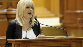 Elena Udrea poate fi urmărită penal