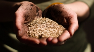 G7 avertizează că este iminentă o foamete globală, dacă Rusia nu deblochează exporturile de cereale din Ucraina