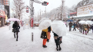 Haos în Asia, din cauza ninsorilor şi temperaturilor scăzute