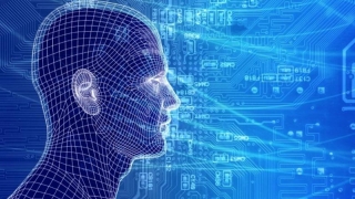 Imagini din creierul uman, recreate de inteligența artificială
