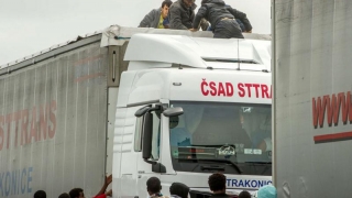 Imigranţi extracomunitari într-un camion românesc, depistaţi în Franţa
