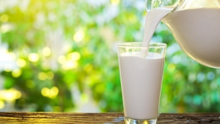 Importurile de lapte au crescut cu 54% în primul trimestru al anului