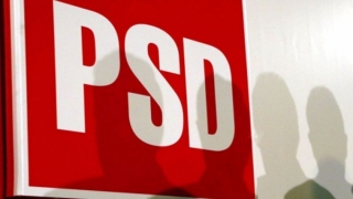 Cine ar putea fi viitorii vicepreședinți PSD?