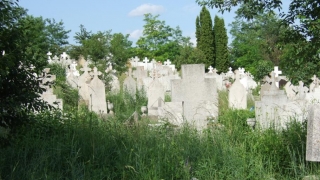 Peste 20.700 de români au murit în luna mai