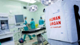 În România se moare pe lista de aşteptare! NU se mai efectuează transplanturi!