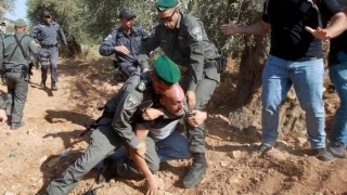 Violențe între coloniști și palestinieni, în Cisiordania