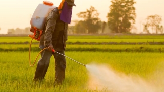 Lista neagră a pesticidelor din UE. Riscuri majore pentru sănătate!