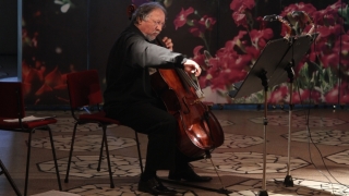 Mărțișor muzical în acorduri de violoncel