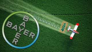 Monsanto + Bayer = medicamente şi pesticide la cel mai înalt nivel