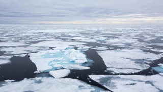Oceanul Arctic rămâne fără gheață!