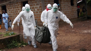 OMS confirmă apariţia unui nou caz de Ebola în Sierra Leone