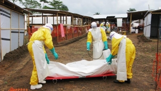 OMS: Sierra Leone, liberă de... Ebola