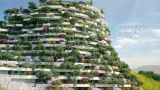 „Oraş-pădure“ în China. Nou trend arhitectural în efortul de a combate poluarea
