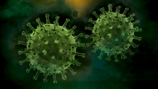 Coronavirus. Sub 1.000 noi infecții cu coronavirus raportate în ultimele 24 de ore