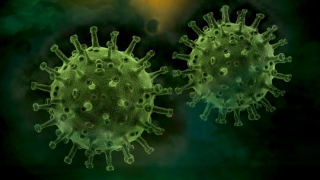 Coronavirus. În ultimele 24 de ore s-au înregistrat 12.106 cazuri noi, din 62.320 de teste. În același interval, au murit 395 de persoane