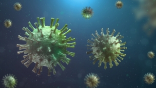 Coronavirus. Peste 4.000 de cazuri noi de COVID-19 raportate în ultimele 24 de ore