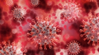 Coronavirus. 34 de persoane cu COVID-19 sunt internate