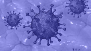 Coronavirus. 171 de pacienți decedați, în ultimele 24 de ore