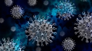 Coronavirus. Aproape 2.000 de noi infectări cu SARS-CoV-2 din 7.005 de teste