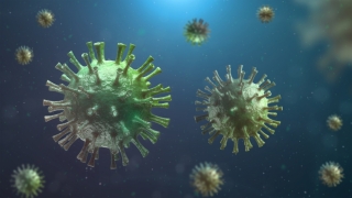 Coronavirus. În ultimele 24 de ore au fost raportate 4.712 noi cazuri de Covid, cu 1.324 mai puține decât în ziua anterioară