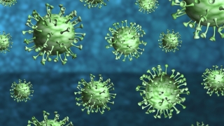Coronavirus. În ultimele 24 de ore au fost identificate 271 de infectări, din care aproape 10% în Constanța