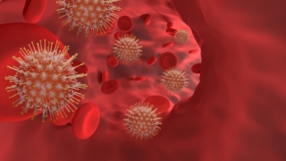 Coronavirus. În ultimele 24 de ore, au fost depistate 1.083 de cazuri noi, din 11.600‬ de teste