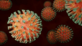Coronavirus. În ultimele 24 de ore, au fost depistate 3.337 de cazuri noi, din 34.364 de teste (9,7%)