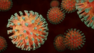 Coronavirus. În ultimele 24 de ore, au fost depistate 3.350 de cazuri noi, din 12.234 de teste (27,3%)