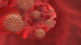 Coronavirus. Judeţul Constanţa a reintrat în zona roşie