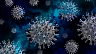 Coronavirus. Peste 100 de decese, în ultimele 24 de ore