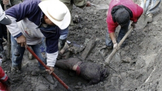 Unsprezece cadavre, unele prezentând semne de tortură, găsite în orașul mexican Veracruz