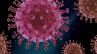 Coronavirus. Peste 100 de decese au fost raportate în ultimele 24 de ore