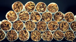 Pachetele-horror de țigări ajung pe rafturi