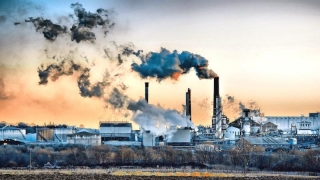 Peste 5,5 milioane de decese premature cauzate de poluarea aerului, în 2013