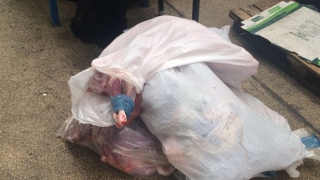 Polițiștii au confiscat sute de kilograme de carne din Piața Griviței!