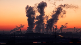 Poluarea atmosferică afectează grav rinichii! Ştiaţi asta?