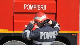 Pompierii, chemați la Cernavodă pentru a salva un cățel!